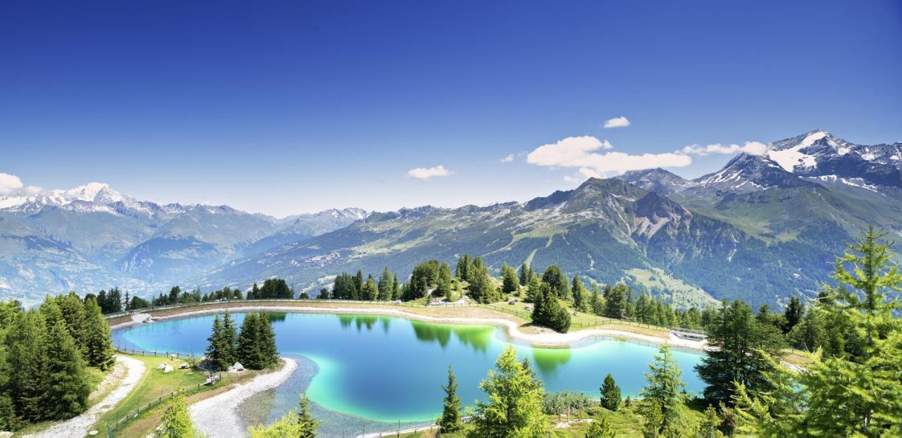 Chalet Bouquetin- Aigle Royal Leilighet La Plagne Eksteriør bilde