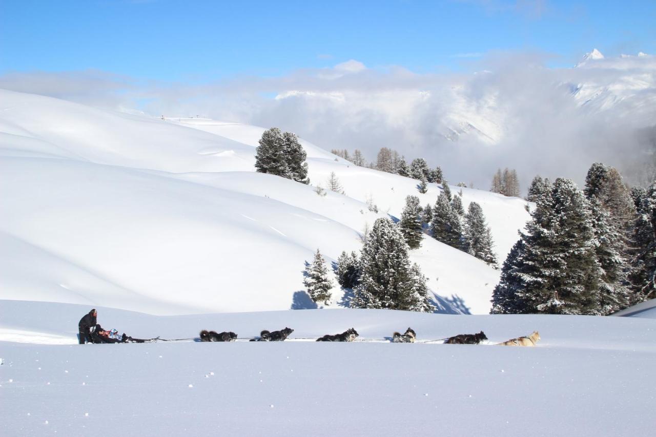 Chalet Bouquetin- Aigle Royal Leilighet La Plagne Eksteriør bilde